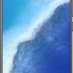 vivo X60