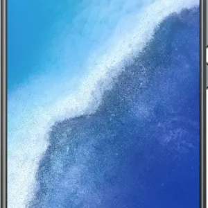 vivo X60