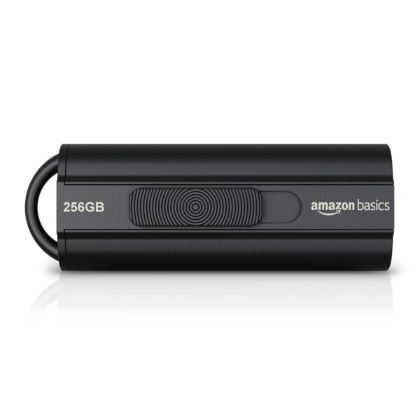 Amazon Basics 256GB Pen Drive