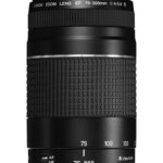 Canon EF Telephoto Zoom Lens