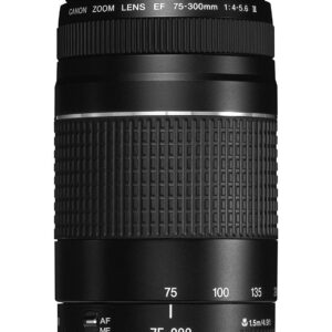 Canon EF Telephoto Zoom Lens