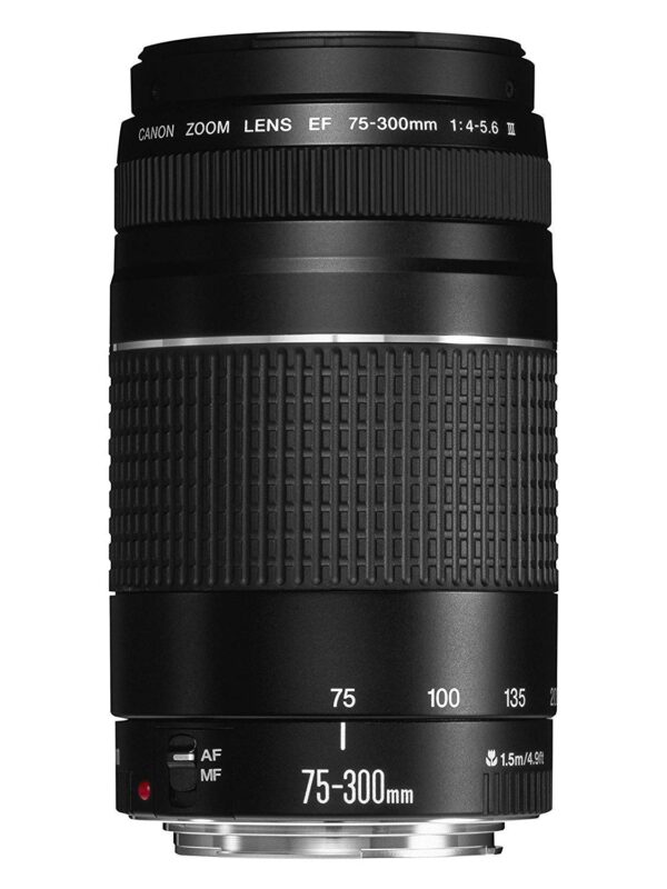 Canon EF Telephoto Zoom Lens